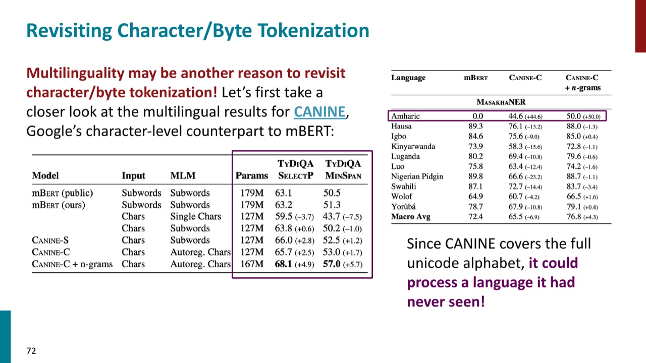 CANINE 展示 character-level 模型在多语言场景中的潜力