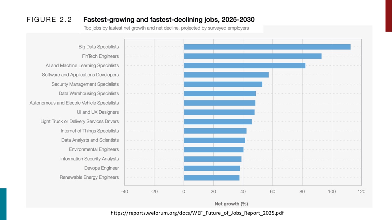 WEF 2025 中增长最快的岗位